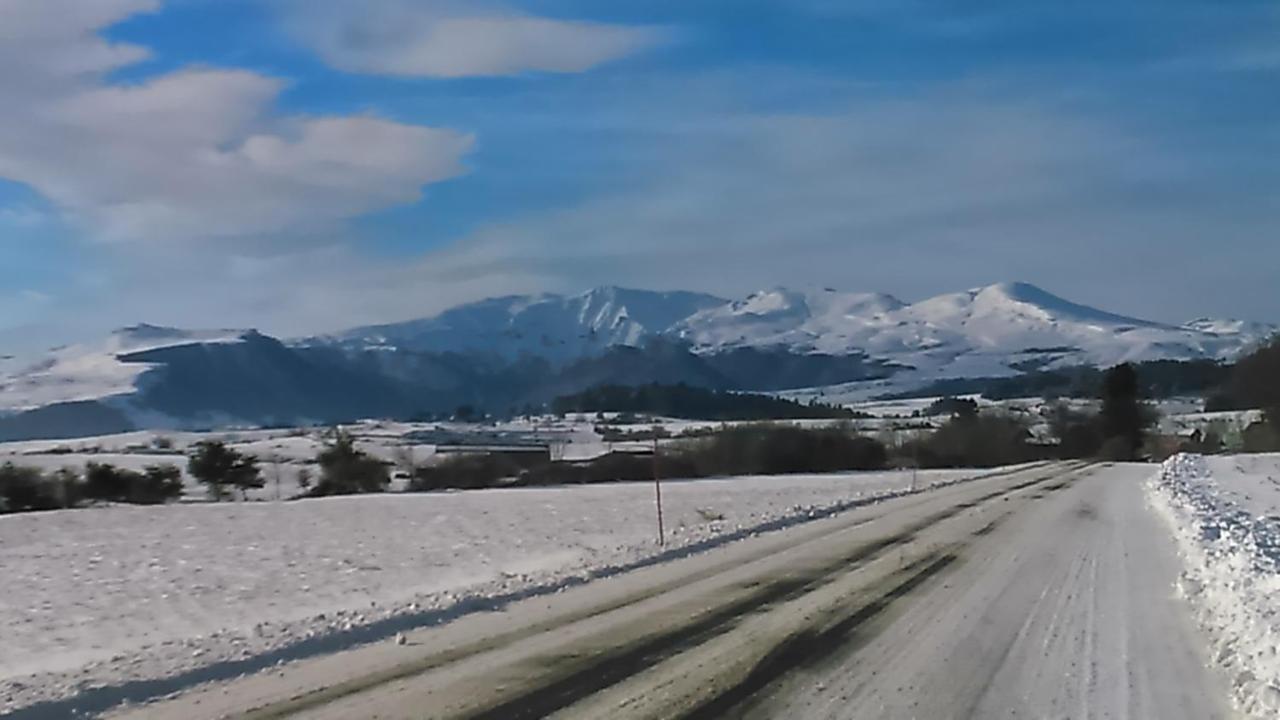 Tulipe, Appartement 5 Personnes, Entre Sancy Et Volcans D'Auvergne Orcival Exteriér fotografie