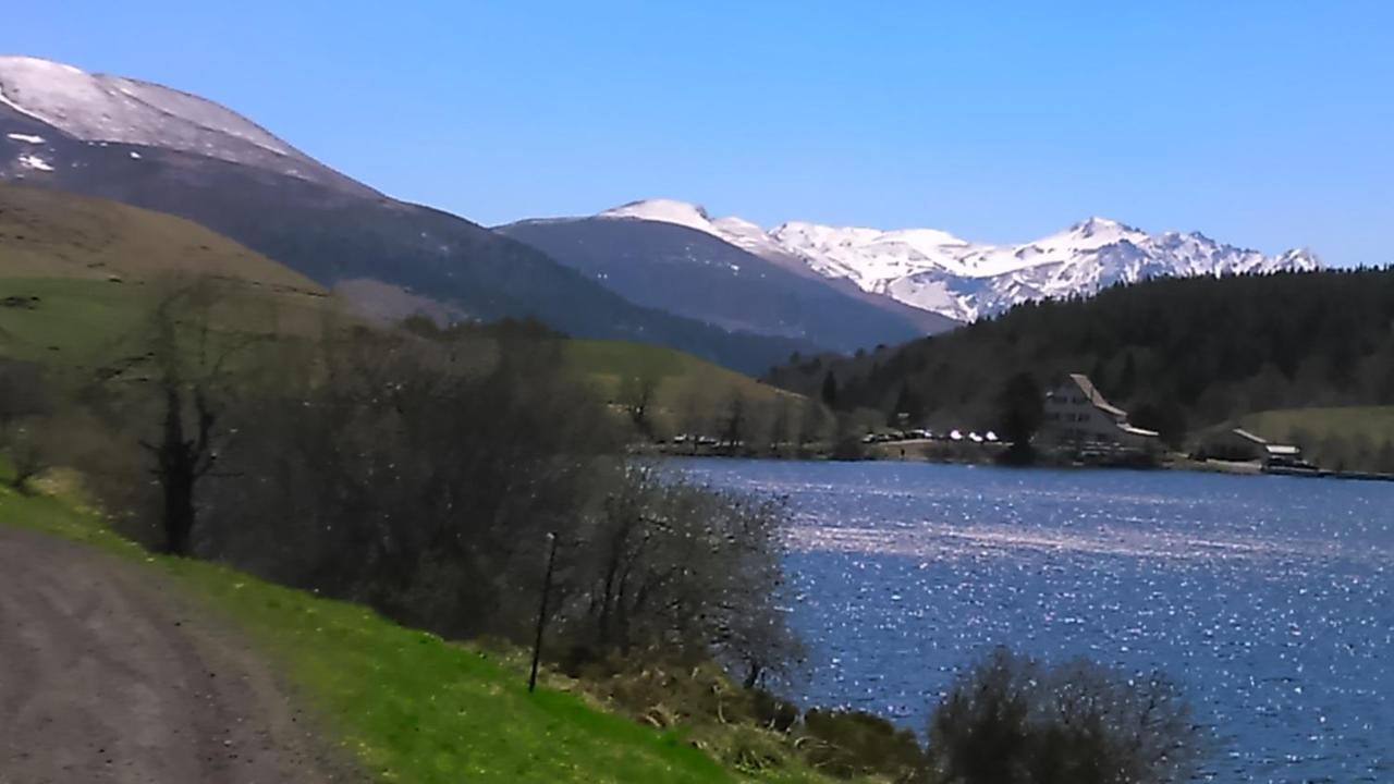Tulipe, Appartement 5 Personnes, Entre Sancy Et Volcans D'Auvergne Orcival Exteriér fotografie